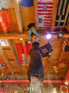Red Dog Saloon Juneau - bear chasing man up a pole