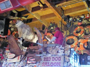 Red Dog Saloon Juneau (4)