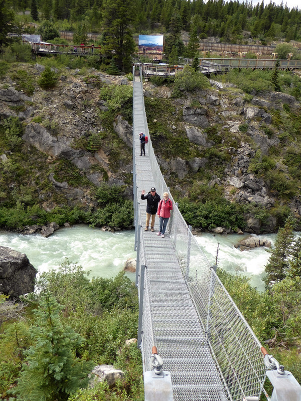 Suspension Bridge Yukon (36)