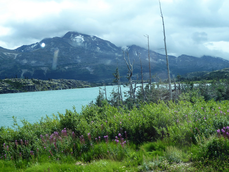 White Pass Yukon Tour (8)