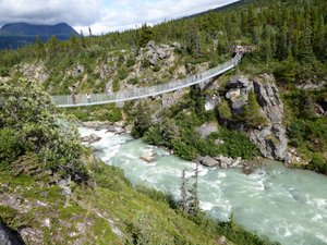 Suspension Bridge Yukon (14)