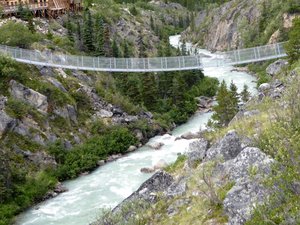 Suspension Bridge Yukon (45)