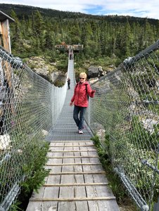 Suspension Bridge Yukon (85)