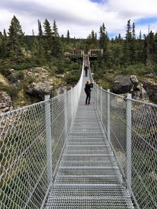 Suspension Bridge Yukon (86)