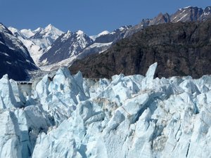 Glacier Bay - Grand Pacific Glacier (21)