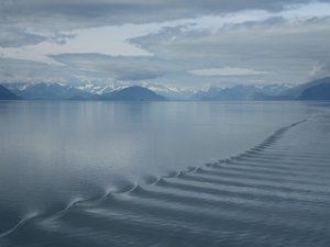 Glacier Bay Alaska (5)