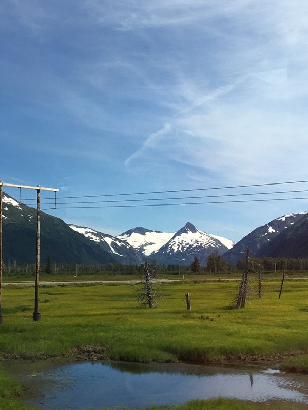 Scenery between Holmer and Anchorage (71)
