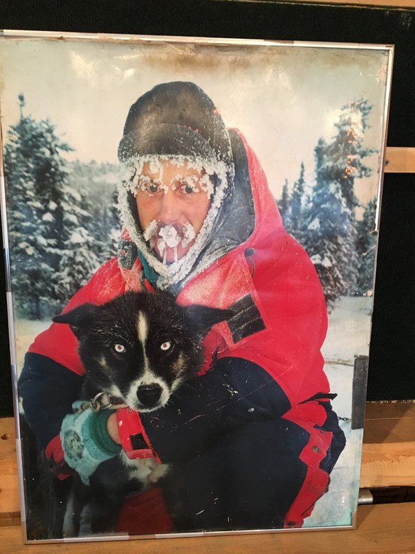 Bill King owner and winner of several Iditarod Sled Dog Races at Husky Homestead (3)