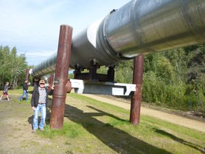 Trans Alaska Pipeline (10)