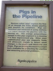 Trans Alaska Pipeline (14)