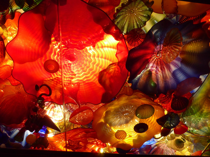 Chihuly Garden and Glass Exhibition in Seattle (6)