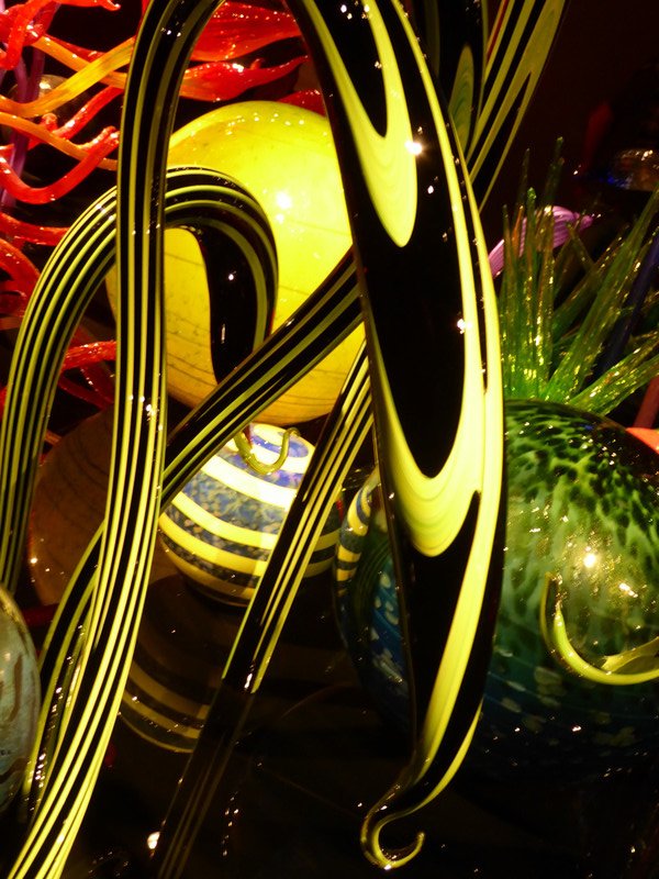 Chihuly Garden and Glass Exhibition in Seattle (11)