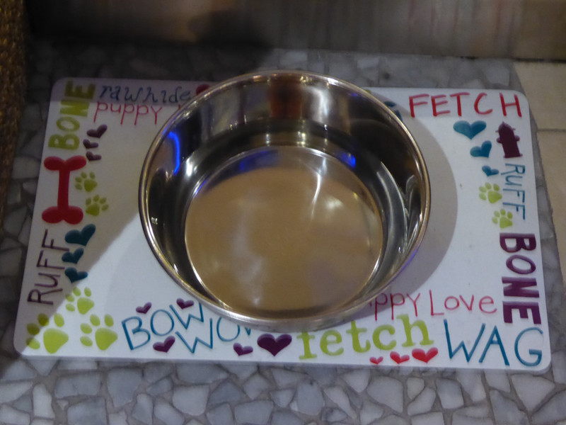 Dog bowl inside Indigo Hotel Ottawa (1)