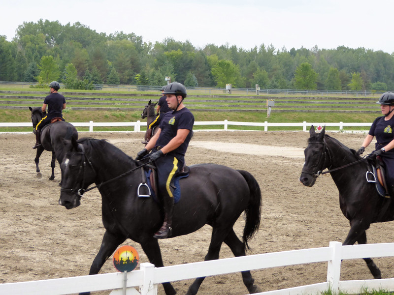 Musical Ride Canadian Mounted Police Ottawa (3)