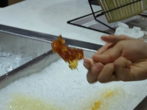 Maple Syrup frozen on ice turning into toffee (2)