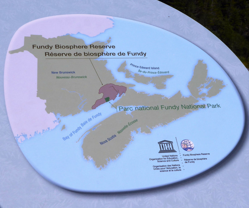 Fundy National Park New Brunswick (9)