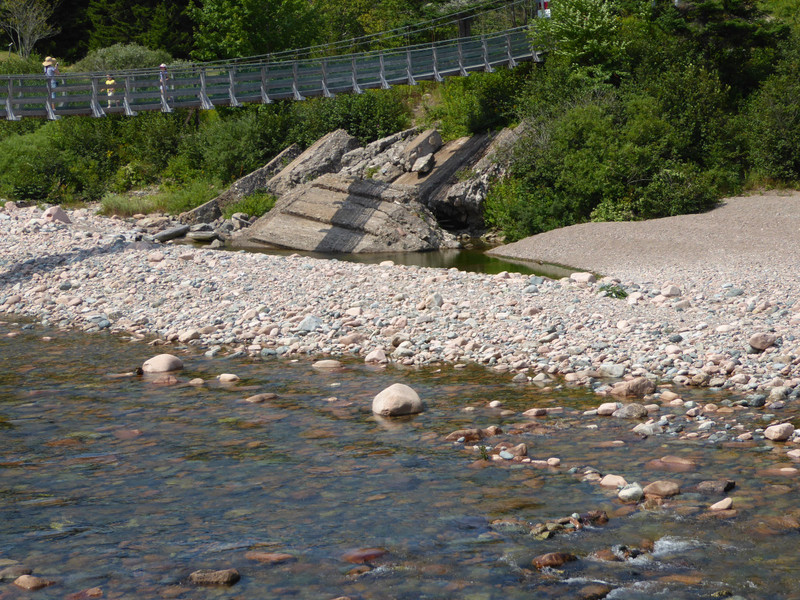 Fundy Trail New Brunswick - suspension bridge area (5)