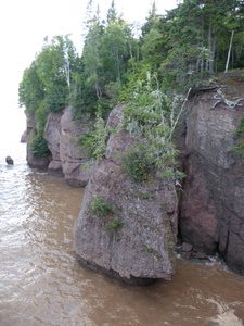 Hopewell Rocks New Brunswick at high tide (11)