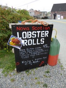 Lobster rolls at Peggys Cove - yum (3)