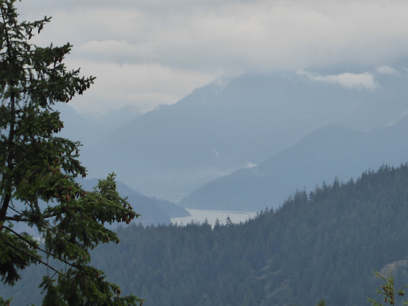 Burnaby Mountain Conservation Park North Vancouver (9)