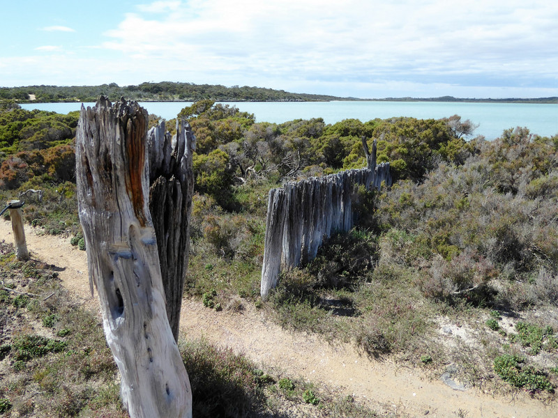 41 Coffin Bay - Yangie Bay (29)