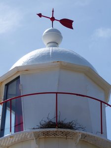 63 Corny Point Yorke Peninsula - Lighthouse (6)