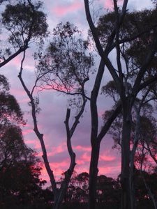 79 Sunset from Clare Caravan Park (9)
