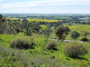 79.2 Clare Valley from Quarry Hill Lookout (3)