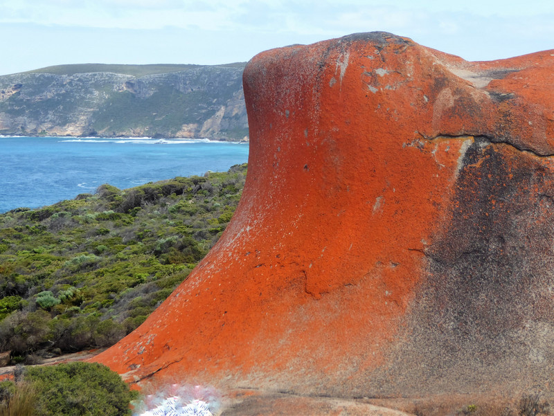 109 Remarkable Rocks Flinders Chase KI (41)