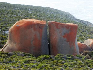 109 Remarkable Rocks Flinders Chase KI (88)