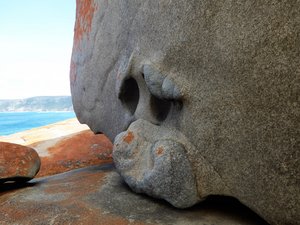 109 Remarkable Rocks Flinders Chase KI (95)