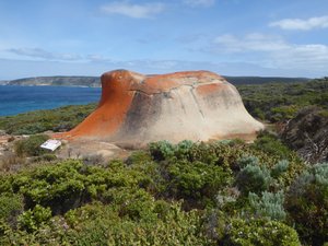 109 Remarkable Rocks Flinders Chase KI (106)