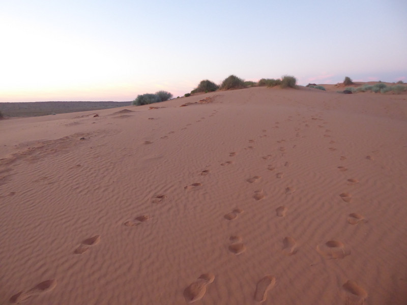 158.1 Big Red sand dune 35km from Birdsville (58)