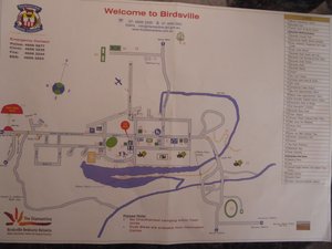 158 Birdsville (34)