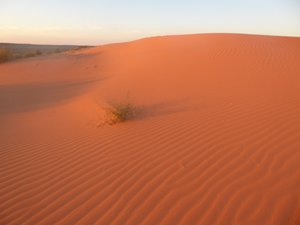 158.1 Big Red sand dune sunset (16)