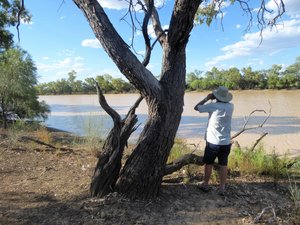62 Welford National Park - scenes at our camping site on Barcoo River - Little Boomerang Waterhole (2)