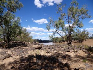 62 Welford National Park - scenes at our camping site on Barcoo River (14)