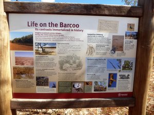 62 Welford National Park - scenes at our camping site on Barcoo River (15)