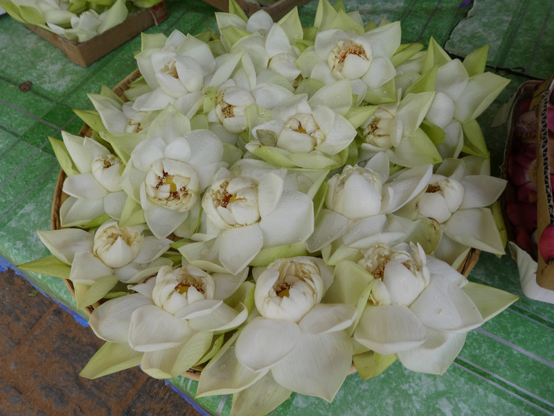 Anuradhapura - lotus flower offerings (1)