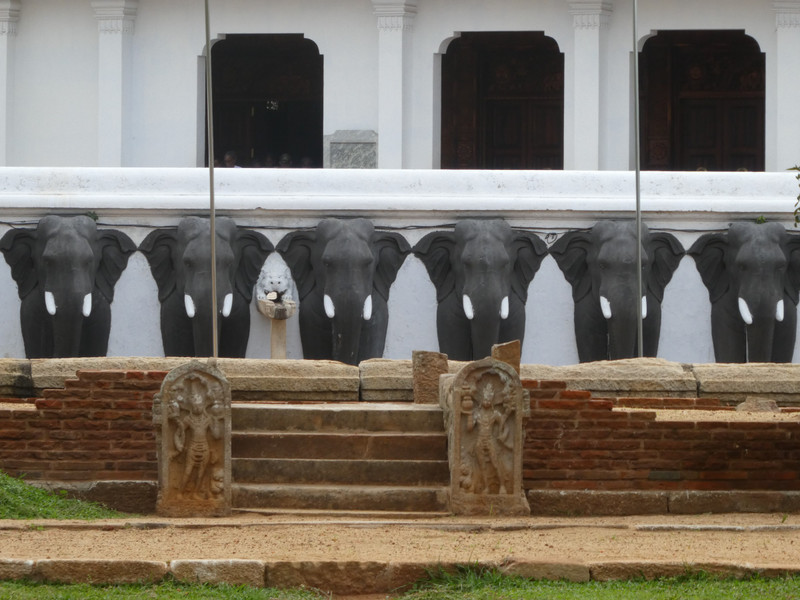 Anuradhapura - Ruvanveliseya Dagoba (3)