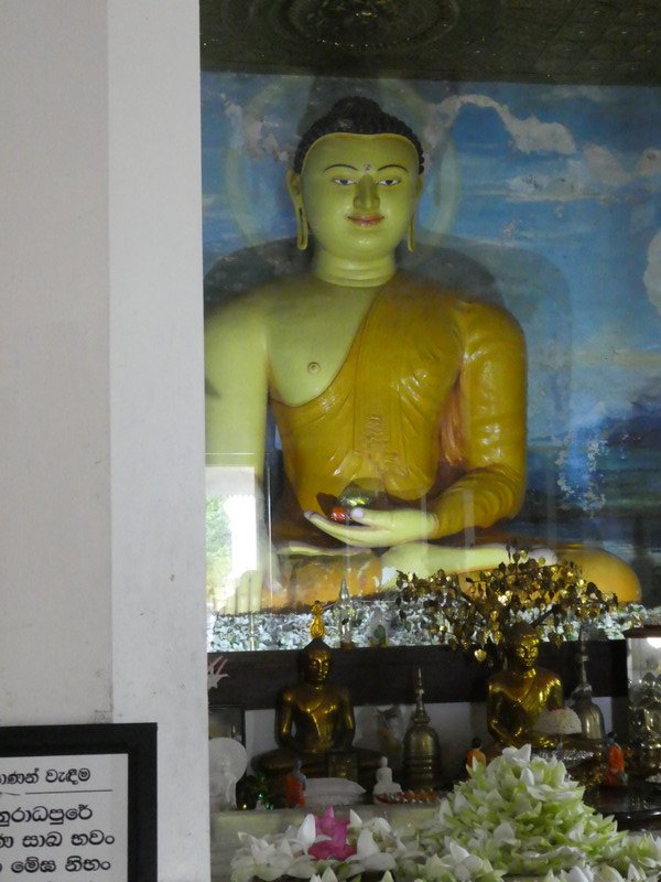 Anuradhapura - Ruvanveliseya Dagoba (10)
