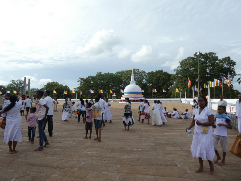Anuradhapura - Ruvanveliseya Dagoba (22)
