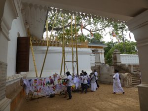 Anuradhapura - Ruvanveliseya Dagoba (13)
