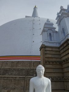 Anuradhapura - Ruvanveliseya Dagoba (27)