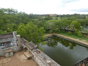Anuradhapura - Ruvanveliseya Dagoba (42)