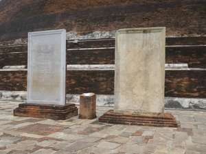 Anuradhapura - Ruvanveliseya Dagoba (51)