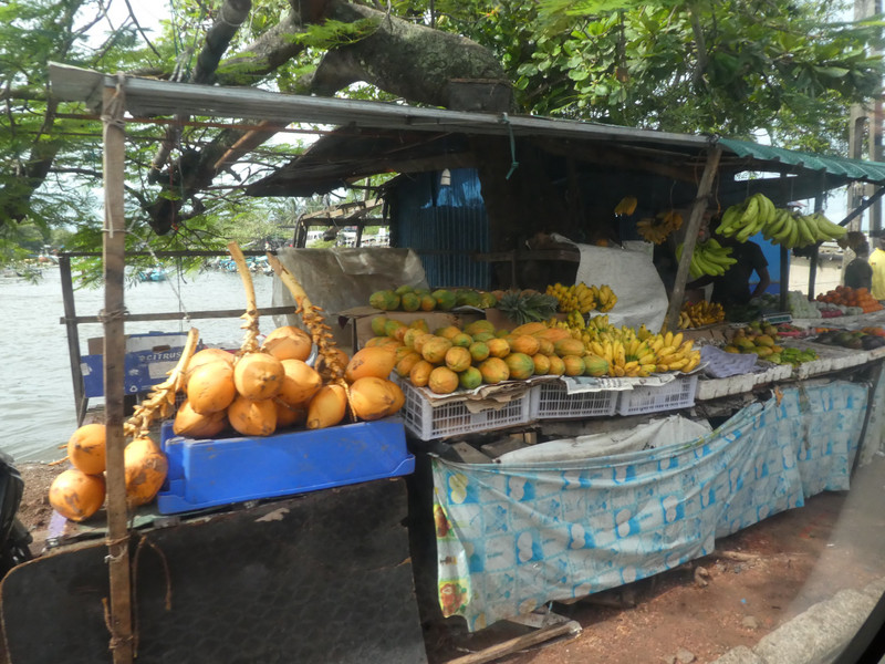 Negombo (3)