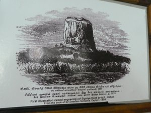 Sigiriya Museum (4)