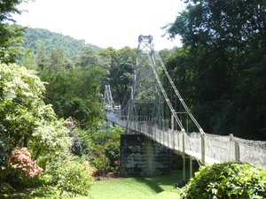 Kandy Royal Gardens - Suspension Bridge over the Mahaweli River (1)