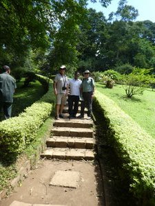 Kandy Royal Gardens (187)